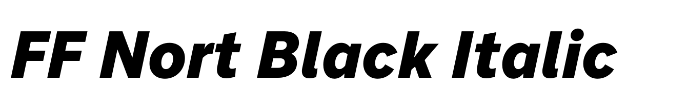FF Nort Black Italic